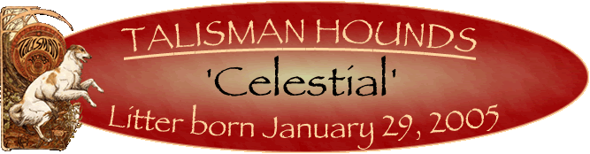 Lost Civilizations - Title