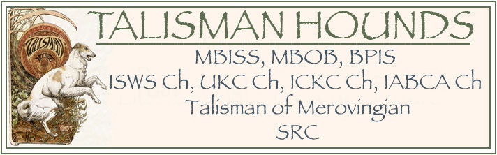 Dresden Silken Windhound 