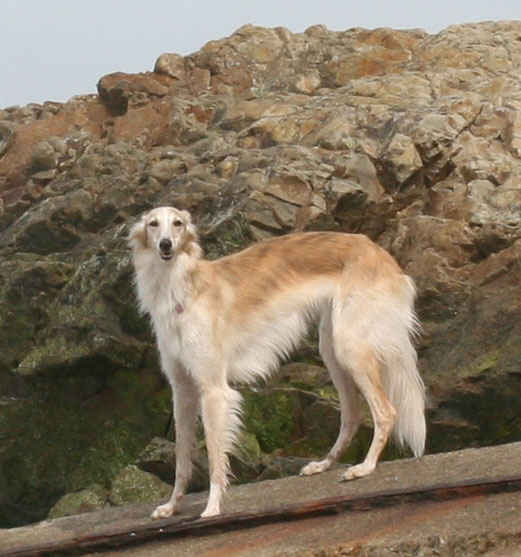Maya the Silken and the rocks